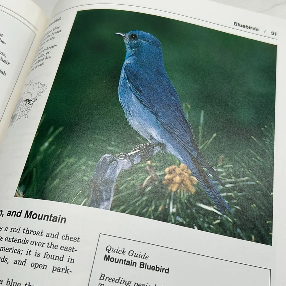 💕 Complete Birdhouse Book The Easy Guide To Attracting Nesting Birds - Picture 12 of 16